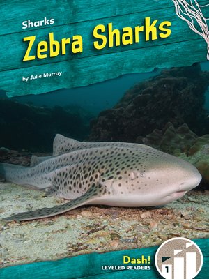 cover image of Zebra Sharks